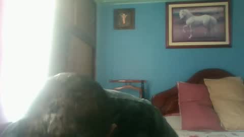 Snapshot of tender_eldelatienda chatting on 01-03-25, 04:59 Fabio Canavaro online show from 01-03-25, 04:59