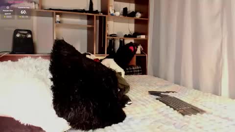 Teo online show from 03-26-26, 10:04