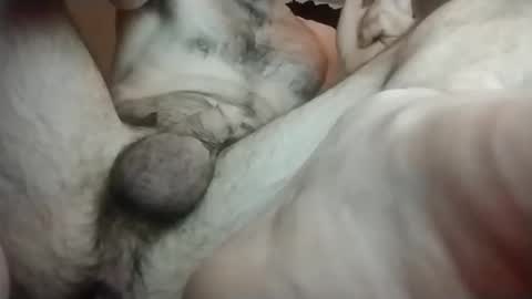 Snapshot of teoorry995266 chatting on 01-19-25, 09:22 Toerry online show from 01-19-25, 09:22