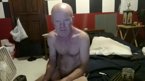 terdy2366 online show from 12-02-24, 10:12