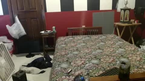 terdy2366 online show from 12-04-24, 08:07