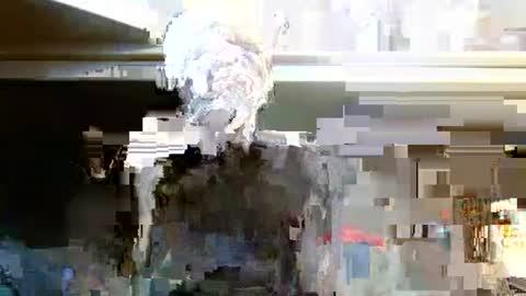 terdy2366 online show from 10-07-25, 03:25