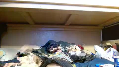 terdy2366 online show from 10-23-25, 06:02