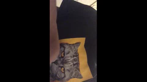 Snapshot of tericmidnight chatting on 12-17-25, 12:27 Call me Jason online show from 12-17-25, 12:27