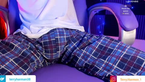 Snapshot of terry_pool chatting on 03-30-26, 03:46 Terry online show from 03-30-26, 03:46