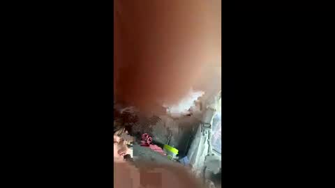 teslajustdoit online show from 03-03-26, 09:10