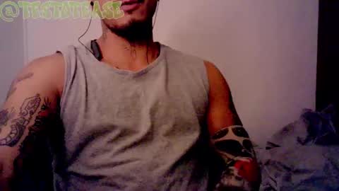 Snapshot of testotease chatting on 02-15-26, 03:36 Milo online show from 02-15-26, 03:36