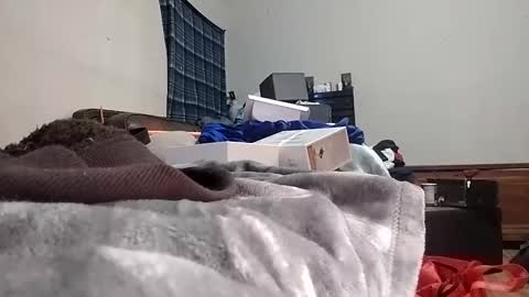 TexasDick online show from 01-24-25, 07:30