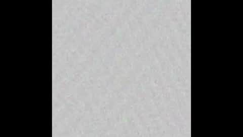 TexPig online show from 09-26-25, 12:09