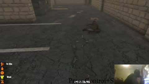 . online show from 10-28-25, 01:42