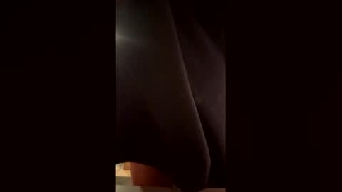 Snapshot of th3xgoat chatting on 02-17-26, 07:20 Wildeman online show from 02-17-26, 07:20