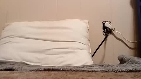 thatb1 online show from 11-05-25, 01:27