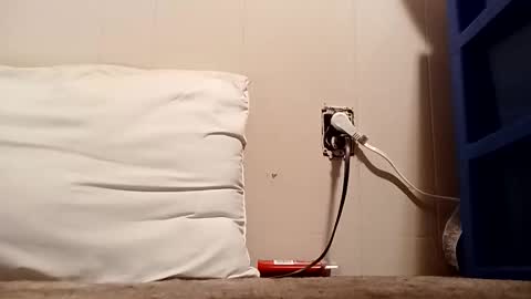 thatb1 online show from 12-16-25, 04:50