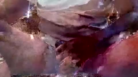 That Guy J online show from 02-11-25, 01:51