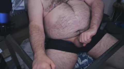 The Bear King online show from 01-23-25, 05:56