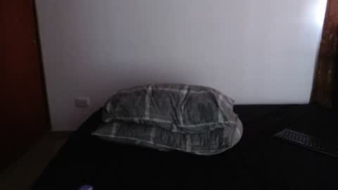 Snapshot of thecrazyadam chatting on 07-02-26, 03:29 Miguel online show from 07-02-26, 03:29
