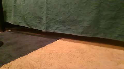 thedickhard1010 online show from 04-02-26, 04:32