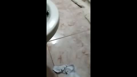 thedo121111 online show from 10-01-25, 01:17