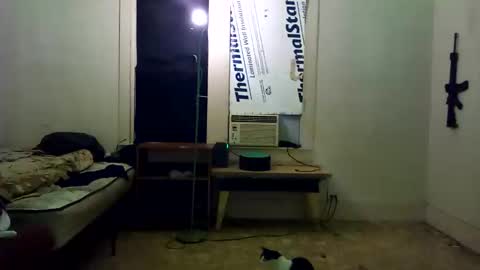 Snapshot of theepussypirate chatting on 02-28-26, 05:52 theepussypirate online show from 02-28-26, 05:52