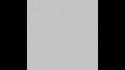 Wolf Independent model online show from 11-30-25, 02:43