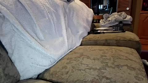 theicecreamguru online show from 10-08-25, 07:55