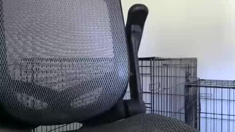 Snapshot of themaneb chatting on 10-23-25, 02:49 themaneb online show from 10-23-25, 02:49