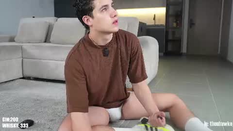 Snapshot of theohawke_ chatting on 06-21-26, 11:07 THEO- MATEO online show from 06-21-26, 11:07