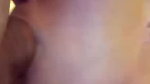 thepriceaintwrong online show from 10-11-25, 09:08