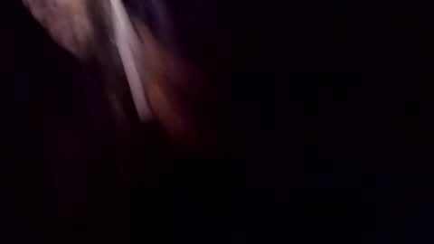 theprofessorxo online show from 09-29-25, 12:49