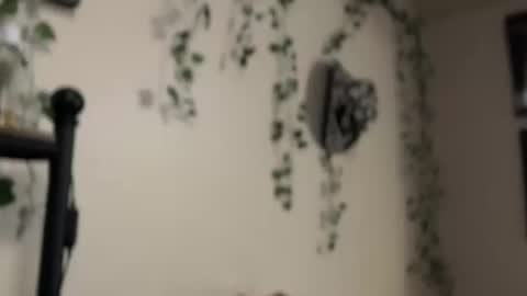Snapshot of therealferrarii chatting on 05-10-26, 05:01 therealferrarii online show from 05-10-26, 05:01