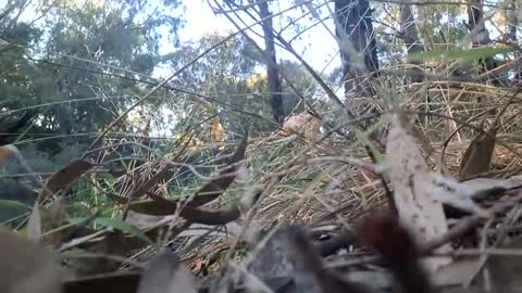 Snapshot of therealkurva4u chatting on 01-02-25, 07:51 therealkurva4u online show from 01-02-25, 07:51