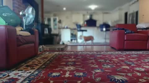 Snapshot of therealkurva4u chatting on 02-08-25, 05:08 therealkurva4u online show from 02-08-25, 05:08