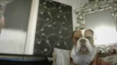 Snapshot of therealkurva4u chatting on 02-09-25, 02:29 therealkurva4u online show from 02-09-25, 02:29