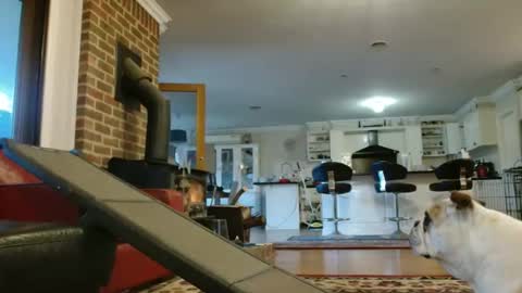 Snapshot of therealkurva4u chatting on 09-25-25, 08:07 therealkurva4u online show from 09-25-25, 08:07