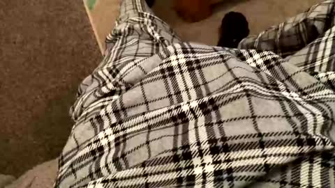 therealpietro77 online show from 02-05-26, 08:57