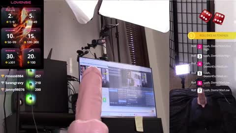 Snapshot of thewillowfox chatting on 01-28-25, 09:08 The Willow Fox online show from 01-28-25, 09:08