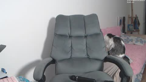 theysaidimcute online show from 02-19-26, 09:11