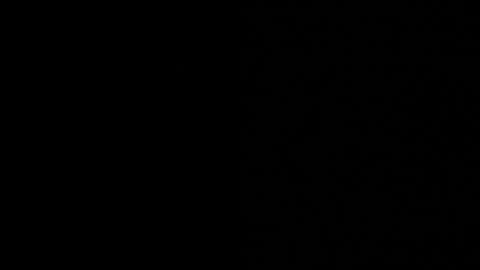 thiago_driussi online show from 11-12-25, 09:36