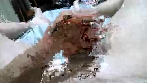 Tommy online show from 10-08-25, 02:53