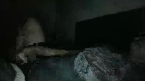 thisguyjake88 online show from 03-08-26, 07:45