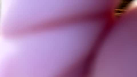 throatgoat2210 online show from 12-01-25, 01:05