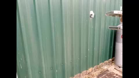 throbmasterr online show from 09-12-25, 09:48