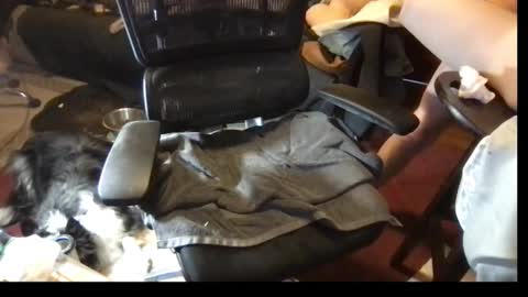 Snapshot of thundersword chatting on 03-08-25, 07:09 thundersword online show from 03-08-25, 07:09