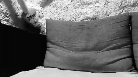 tigerbigcockkk online show from 10-07-25, 08:17