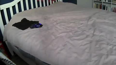 Snapshot of tigerek_i_m chatting on 02-11-25, 07:12 tigerek_i_m online show from 02-11-25, 07:12