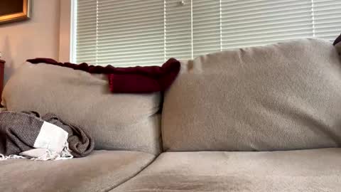 time4fun8837 online show from 02-15-26, 07:32