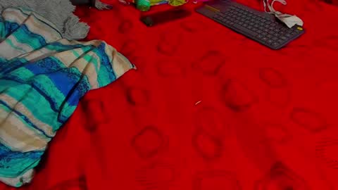 west tina online show from 12-15-24, 11:31