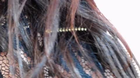 Snapshot of tinakay1 chatting on 12-17-24, 12:11 tinakay1 online show from 12-17-24, 12:11