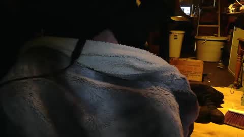 tinkertrain420 online show from 12-02-24, 09:56