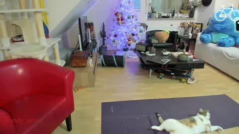 Snapshot of tiny_williams chatting on 12-03-25, 04:31 Tiny online show from 12-03-25, 04:31